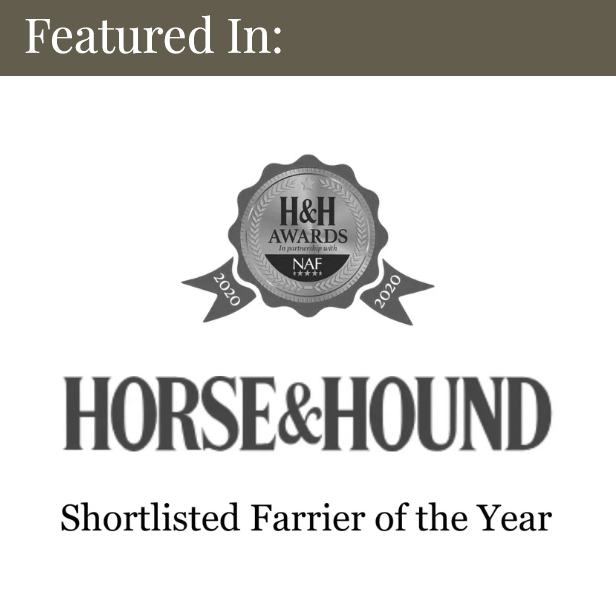 Horse & Hound Awards 2020