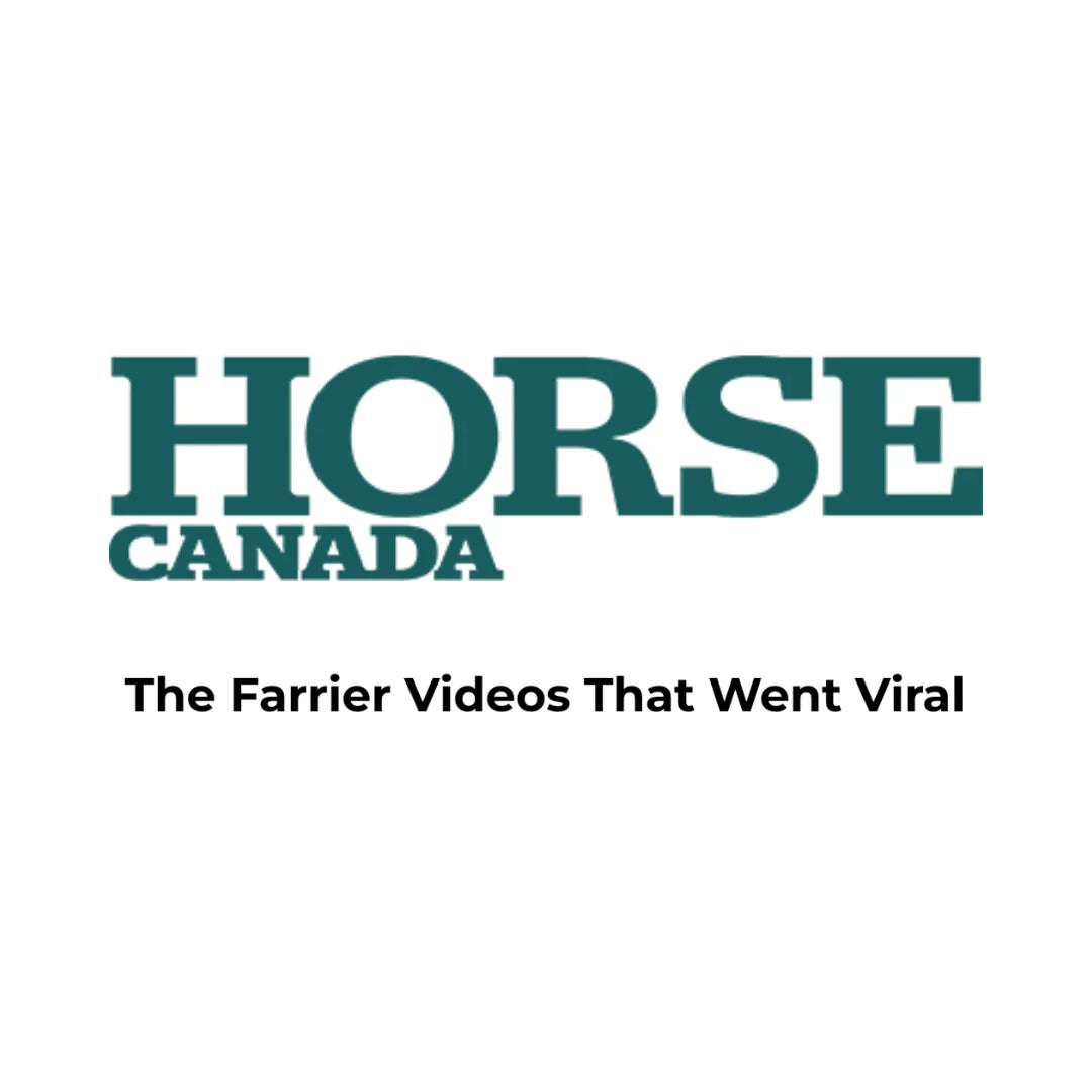 Horse Canada