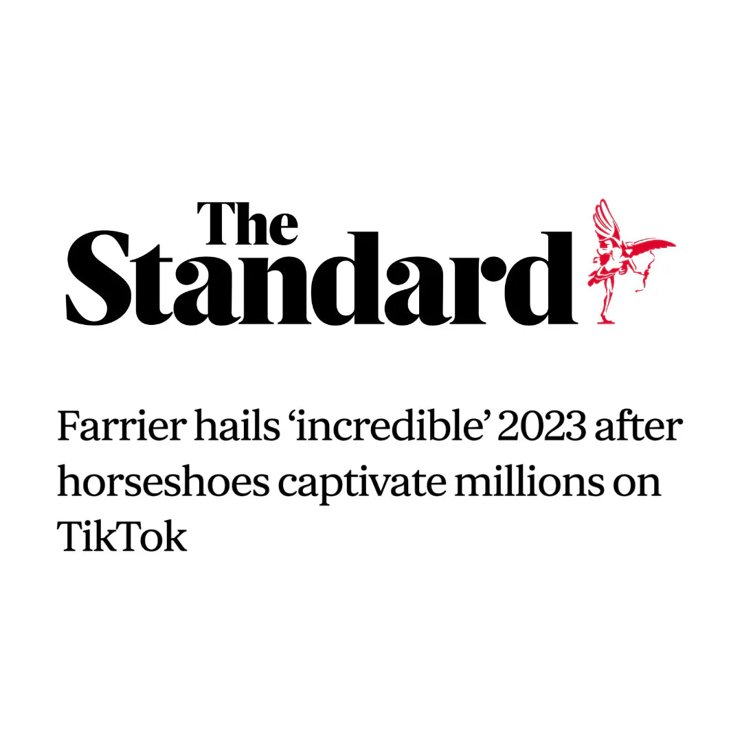 THE STANDARD