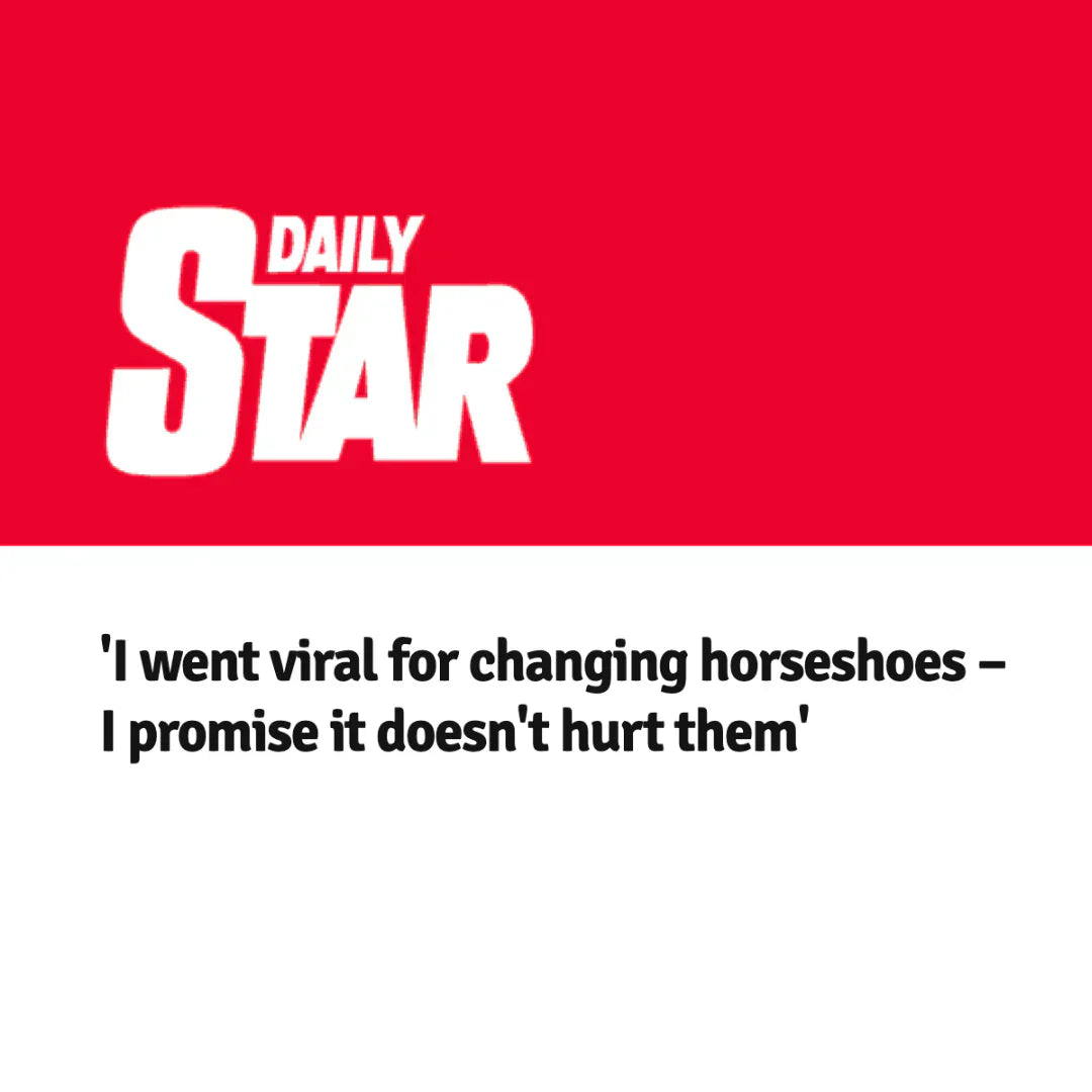 Daily star