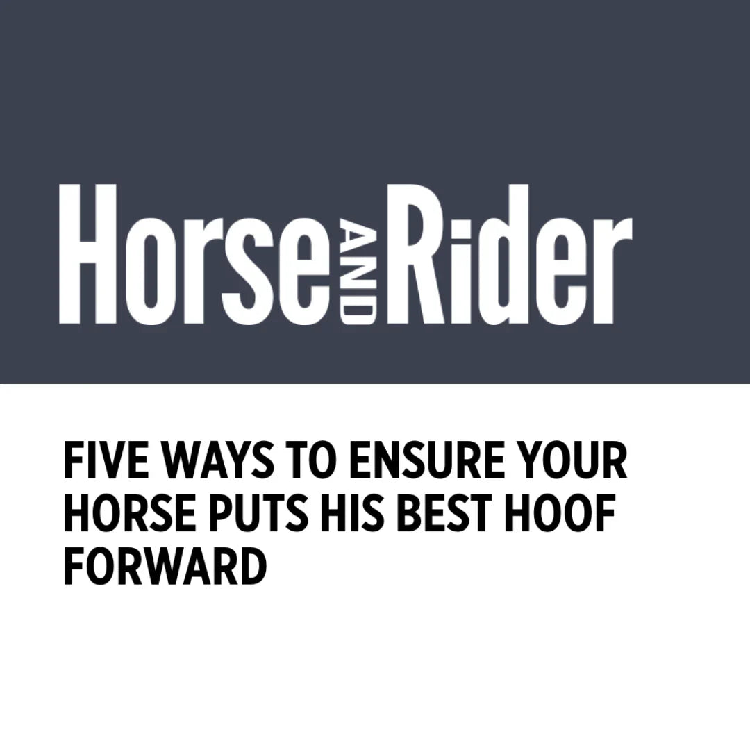 Horse & Rider