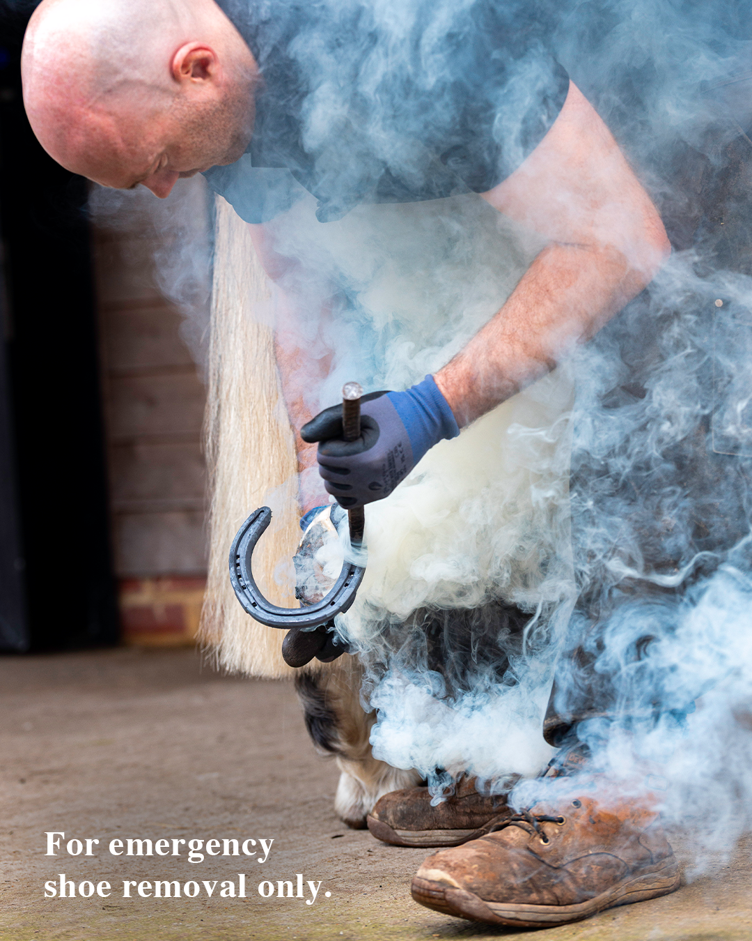 Person using a hoof pick on a horse's hoof with smoke in the background
